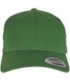 F7706 7706 Flexfit Curved Classic Snapback Cap Classic Green colour image